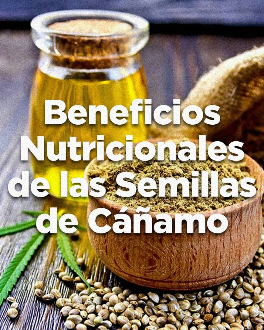 Fashion Beneficios Nutricionales de las Semillas de Cáñamo