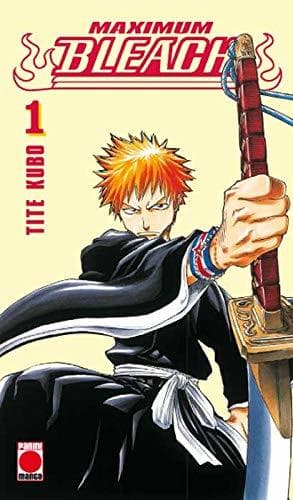 Libro Maximum Bleach 1