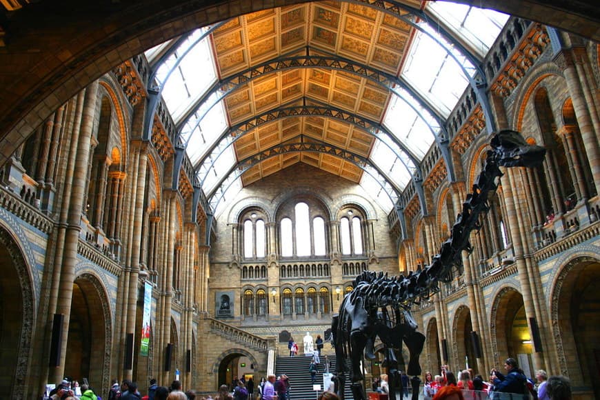 Place Natural History Museum