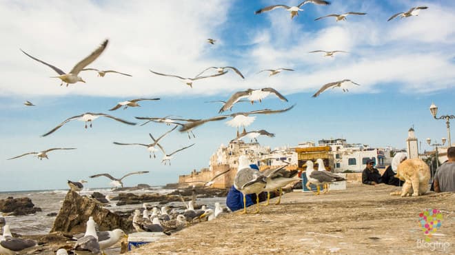 Lugar Essaouira