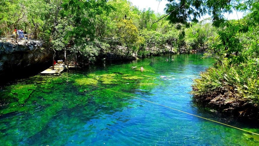 Lugar Cenote, Jardín Del Eden