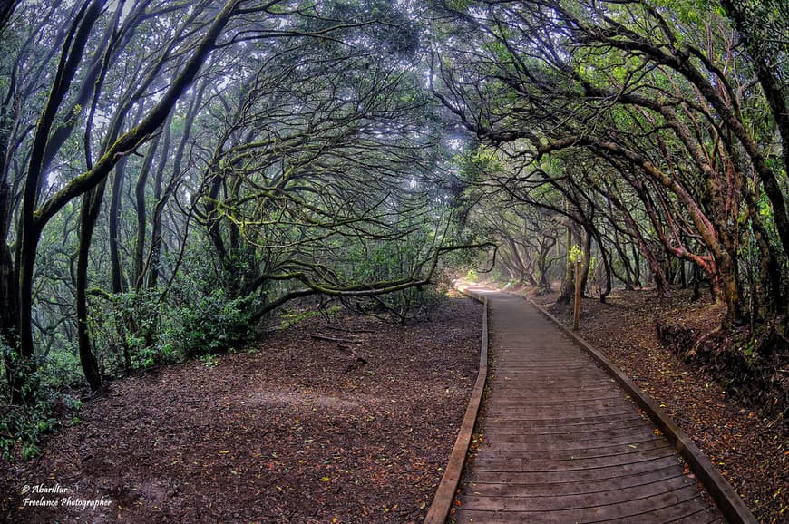 Place Sendero de los Sentidos - Path of the Senses