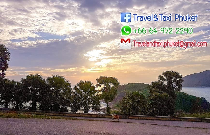 Fashion Phuket first travel and Taxi service 