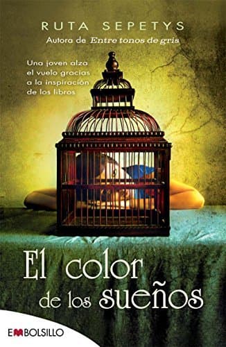 Book El color de los sueños: Una joven alza el vuelo gracias a la inspiración de los libros. 