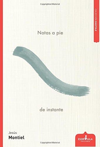 Book Notas a pie de instante