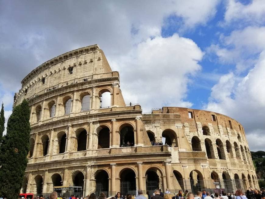 Lugar Coliseo de Roma