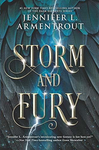 Book Storm and Fury