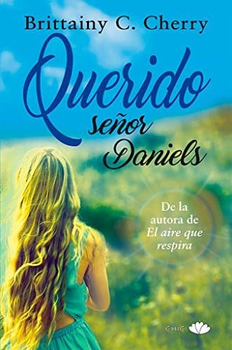 Book Querido Señor Daniels