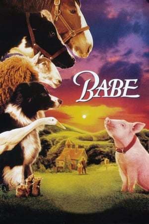 Película Babe