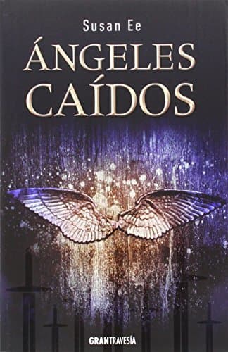 Book Ángeles Caídos