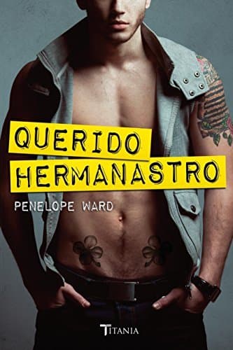 Book Querido hermanastro