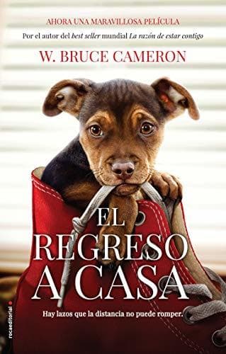 Libro Razon de Estar Contigo, La. El Regreso a Casa