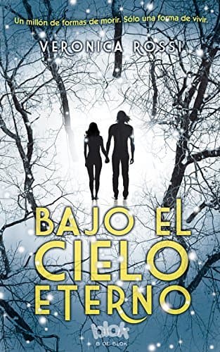 Book Bajo el cielo eterno (Cielo Eterno 1) (SIN LÍMITES)