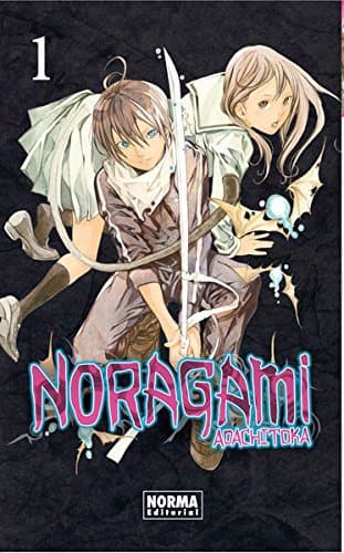 Libro NORAGAMI 01