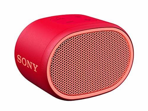 Electronic Sony SRSXB01R - Altavoz inalámbrico portátil