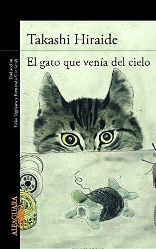 Book El gato que venía del cielo