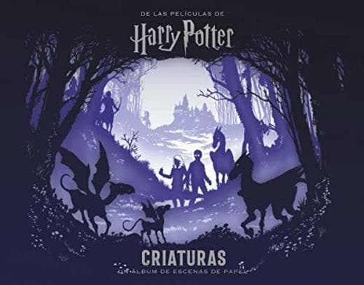 Libro Harry Potter