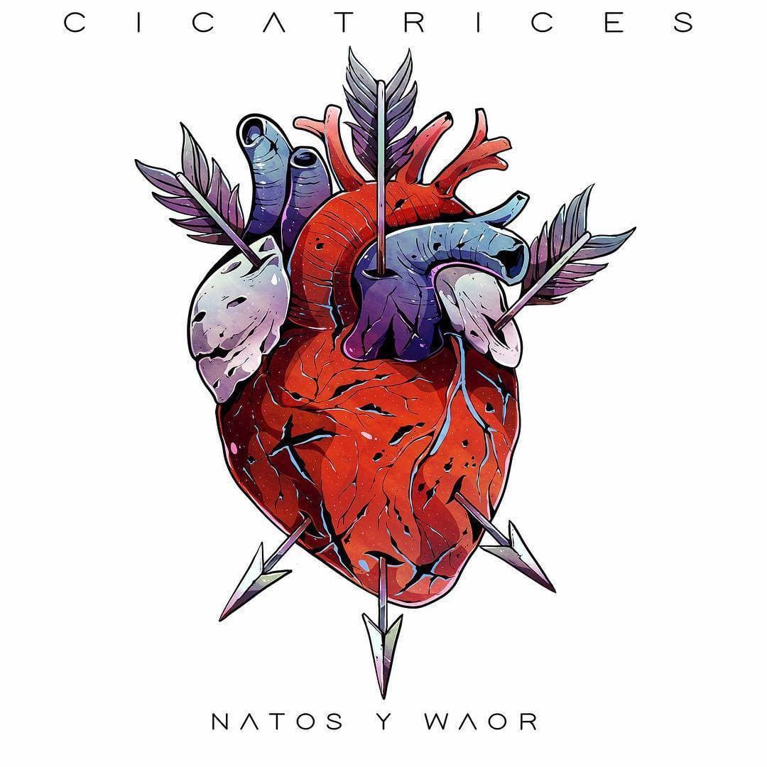 Moda Cicatrices - Natos&Waor