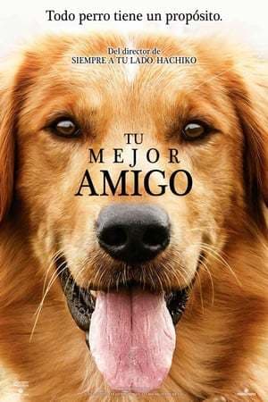 Película A Dog's Purpose