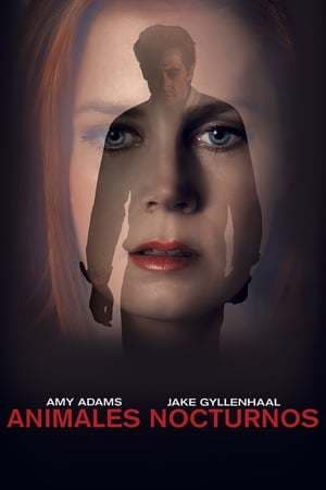 Película Nocturnal Animals