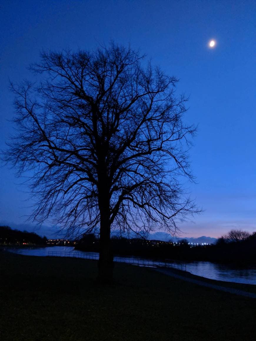 Place River Trent