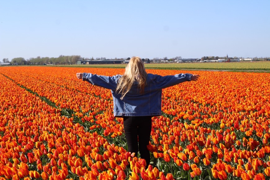 Lugar Keukenhof