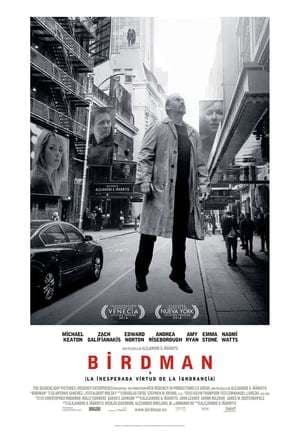 Movie Birdman or (The Unexpected Virtue of Ignorance)