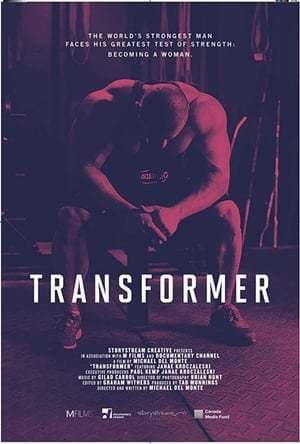 Movie Transformer