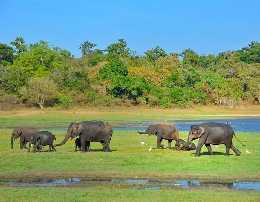 Place Sri Lanka