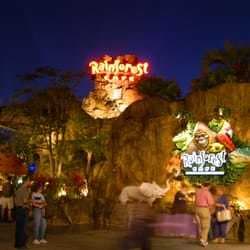 Restaurantes Rainforest Cafe