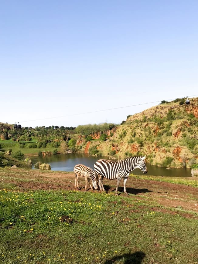 Lugar Parque de la Naturaleza de Cabárceno