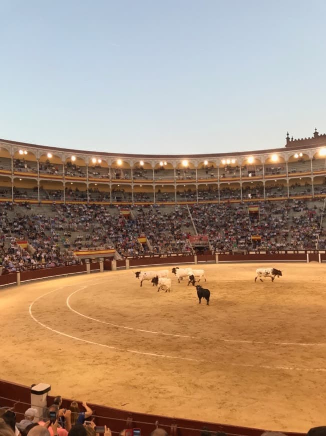 Lugar Plaza de Toros de Las Ventas