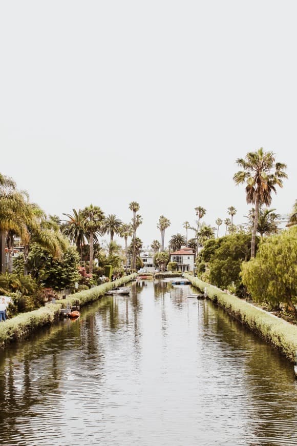 Lugar Venice Canals