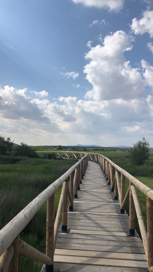 Place Laguna de Fuente de Piedra