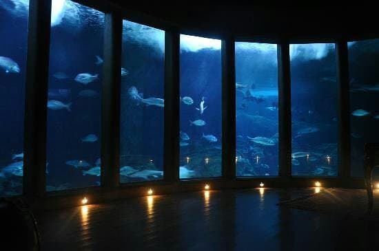 Lugar Aquarium Finisterrae