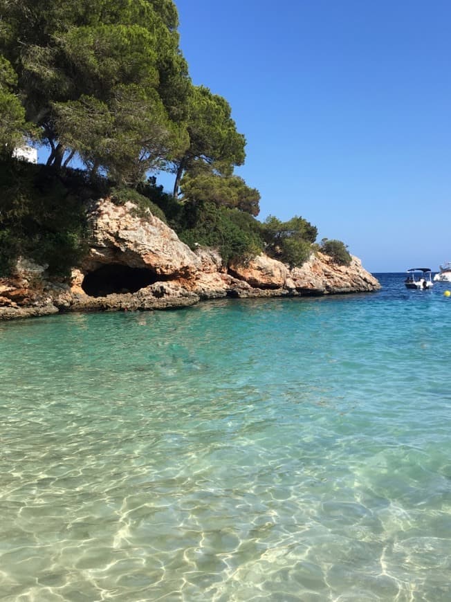 Place Cala Esmeralda Beach