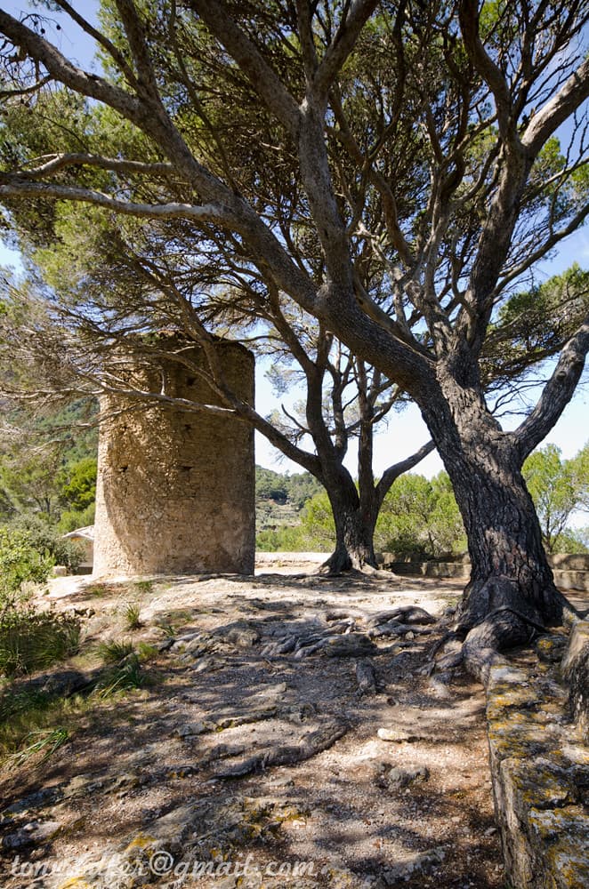 Place Es Molinet de la Beata