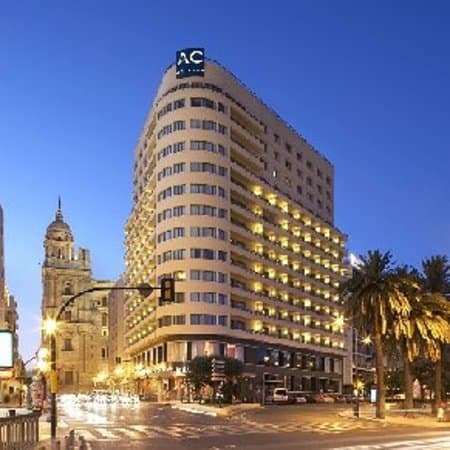 Lugar Hotel Málaga Palacio