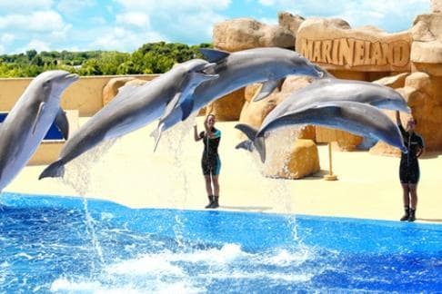 Place Marineland Cataluña