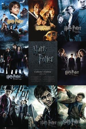 Product Póster 'Harry Potter, colección', Tamaño