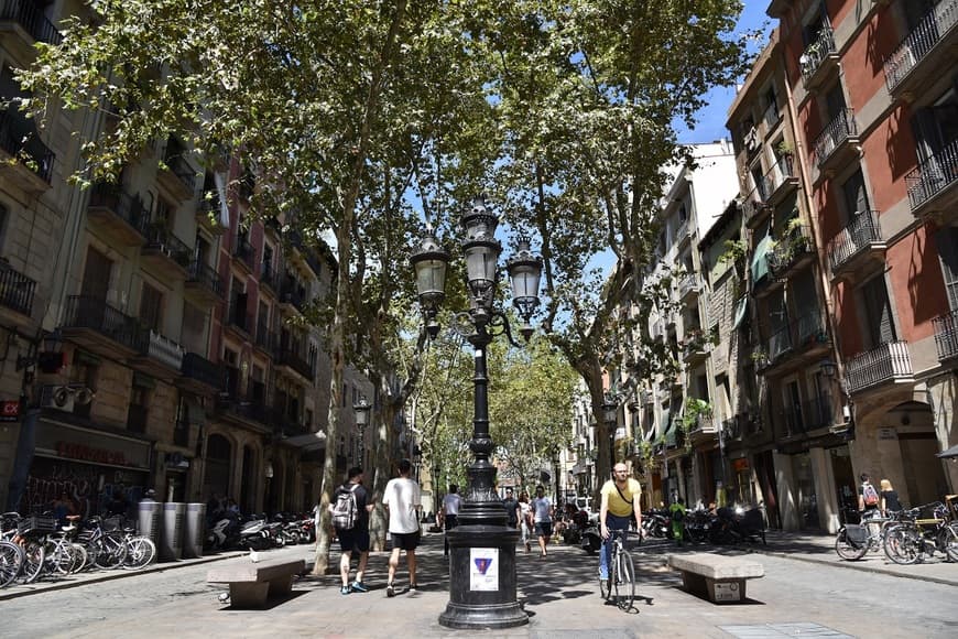 Place Passeig del Born