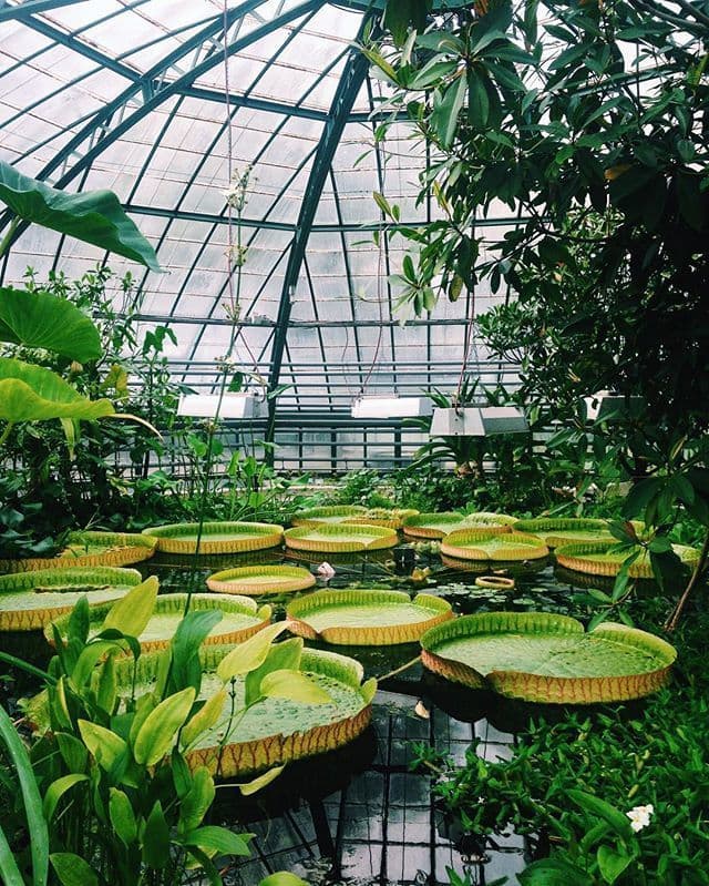 Lugar Botanical Garden Greenhouse