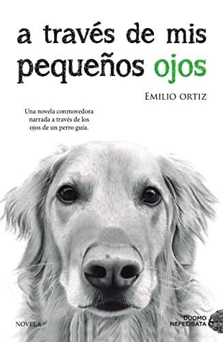 Libro A través de mis pequeños ojos