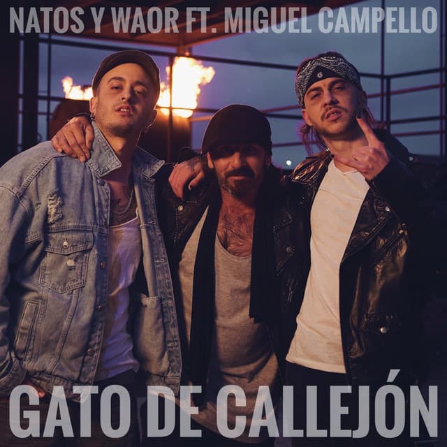 Canción Gato de callejón