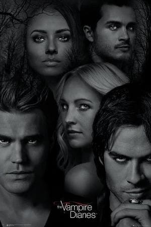 Serie The Vampire Diaries