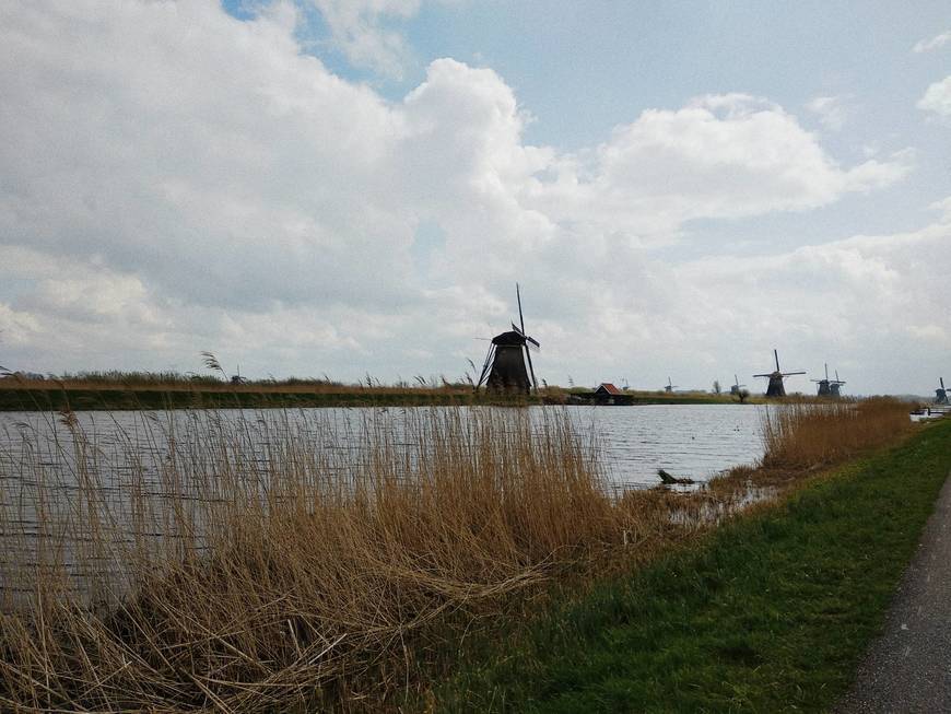 Fashion Los molinos de Kinderdijk - Holland.com