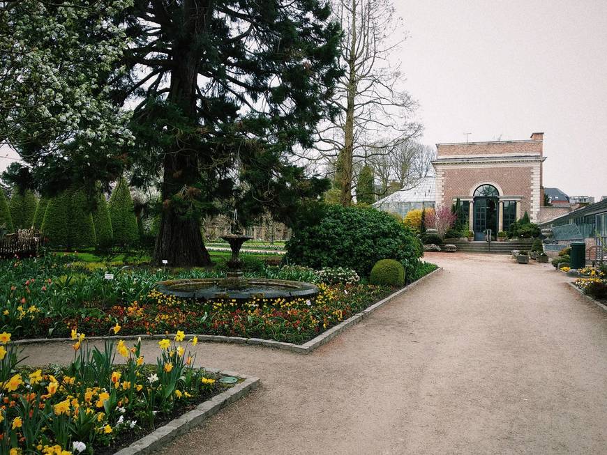 Fashion Jardín Botánico de Lovaina, desde 1738