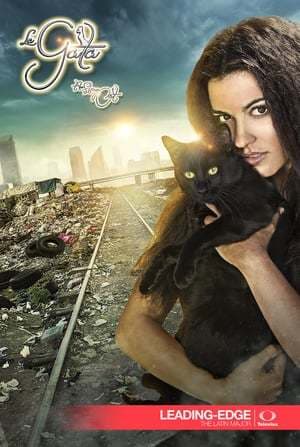 Serie The Stray Cat