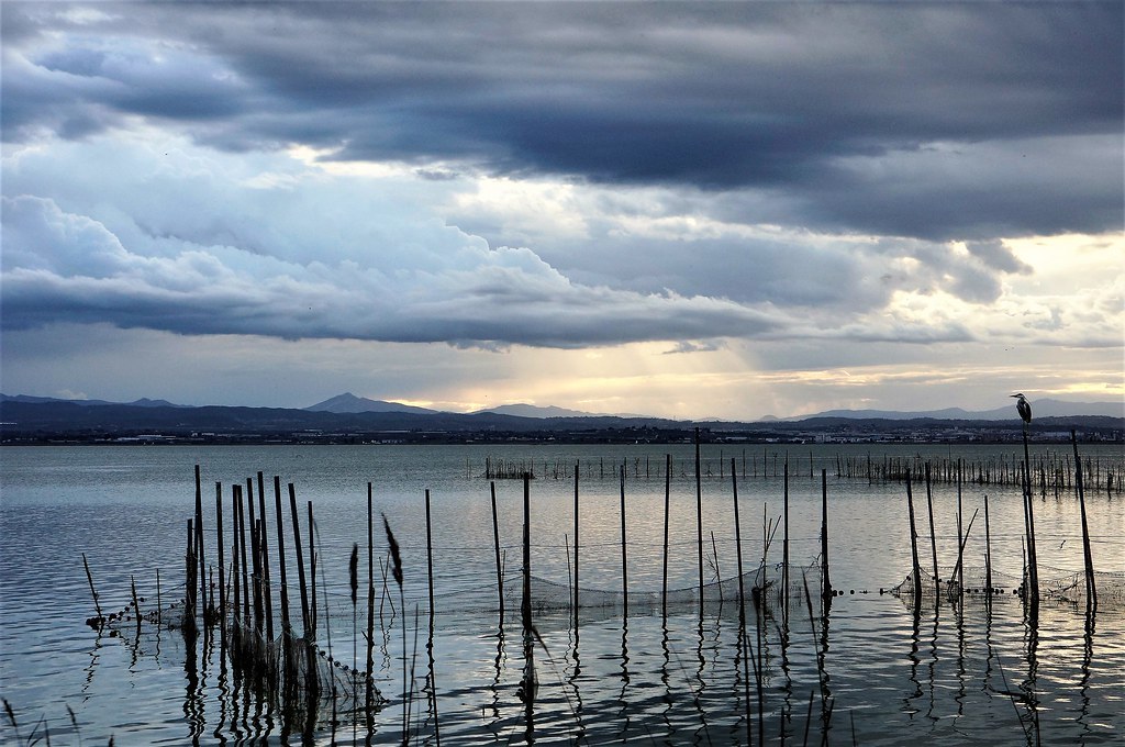 Place Albufera