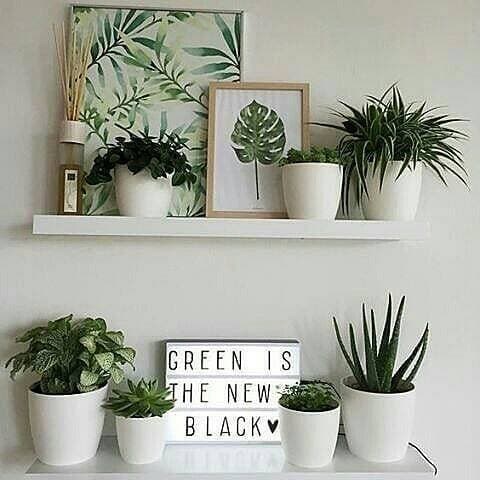 Moda Decoración de baldas Aesthetic 🌿